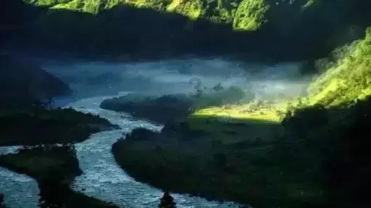 国家魔法森林逃亡