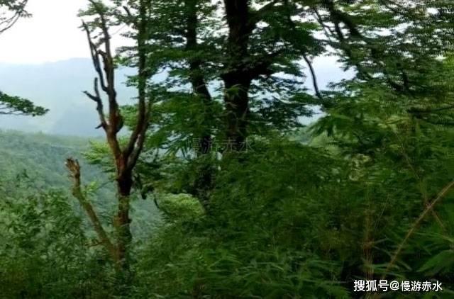 “孝”文化进社区  慈孝之花遍地开